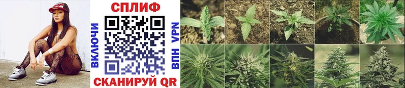 МАРИХУАНА Ganja  закладка  Кукмор 